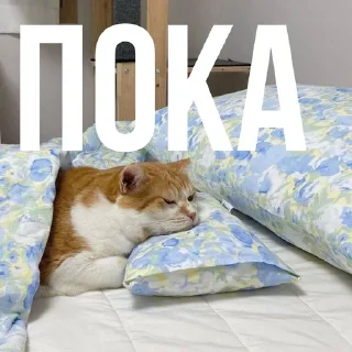 😇 emoji Для важных переговоров Telegram sticker 13 of 14