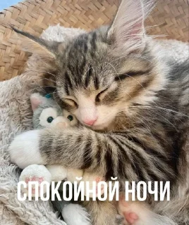 🥳 emoji Для важных переговоров Telegram sticker 11 of 14