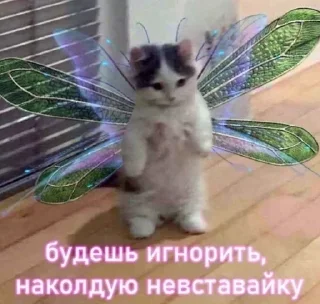 🥹 emoji Создано в @sozdsti_bot Telegram sticker 16 of 79