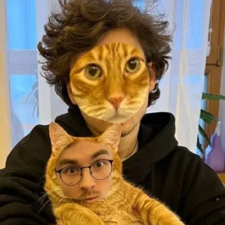 👽 emoji здесь живут фанаты броена Telegram sticker 3 of 46