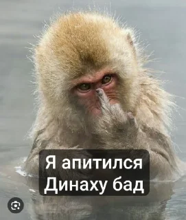 🥱 emoji Стики Rolyan' а @sozdat_stikery_bot Telegram sticker 8 of 11