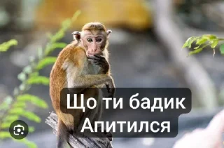 😂 emoji Стики Rolyan' а @sozdat_stikery_bot Telegram sticker 7 of 11