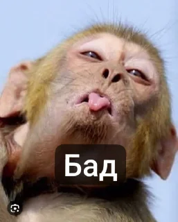 😆 emoji Стики Rolyan' а @sozdat_stikery_bot Telegram sticker 6 of 11