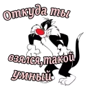 Sticker from Кот Сильвестр :: @animesticks