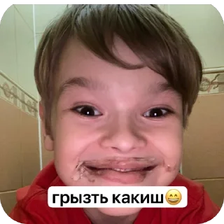 💩 emoji миха чехол Telegram sticker 11 of 12