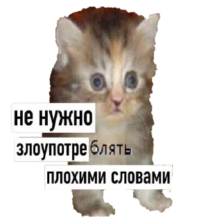 Sticker from чат про наркотики