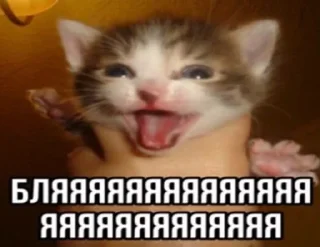 🌟 emoji Агро котики Telegram sticker 23 of 45
