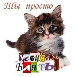 🌟 emoji Агро котики Telegram sticker 10 of 45