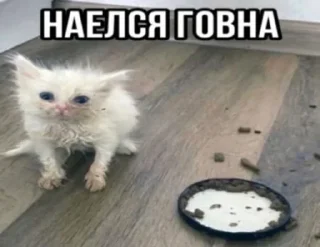 🌟 emoji Агро котики Telegram sticker 15 of 45