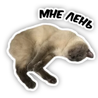 Sticker from чипс