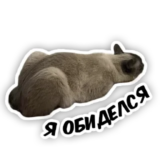 Sticker from чипс