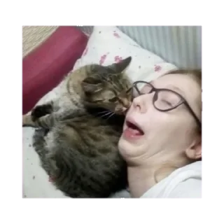 👩‍❤️‍💋‍👩 emoji Абобус и очкобус Telegram sticker 9 of 21