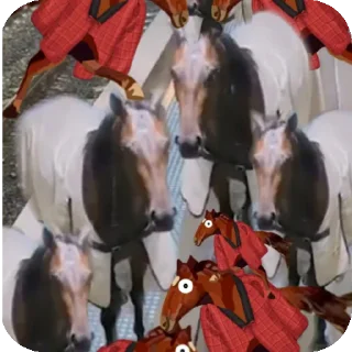 🐴 emoji аниме гады00ll💉🧂🥄🔥 Telegram sticker 10 of 118