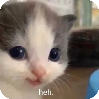 😏 emoji Minnu cat 💕 Telegram sticker 10 of 39