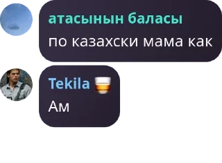 🤾‍♂️ emoji Great Turan | 𐰞𐰀:𐱇𐰺𐰣 pack by @QuotLyBot Telegram sticker 6 of 120