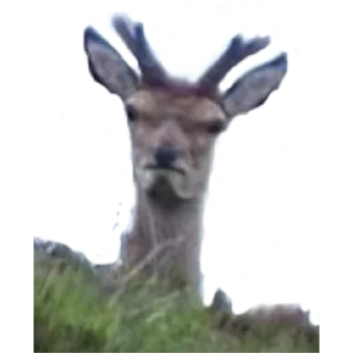 Sticker from Strange Humor @stickersb2b