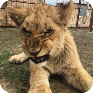 🤬 emoji rich dich Telegram sticker 16 of 26