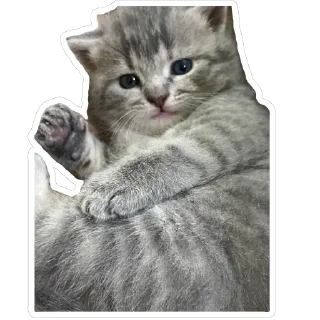 🫥 emoji Ефочка Telegram sticker 6 of 44