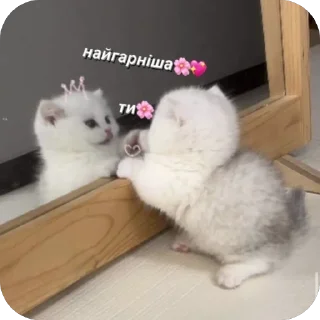 🫥 emoji Ефочка Telegram sticker 19 of 44