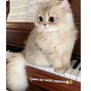 🫥 emoji Ефочка Telegram sticker 23 of 44