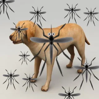 🦟 emoji Вшивая псина Telegram sticker 18 of 105