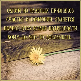 Sticker from WhatsApp JPG (@pt_stickers)