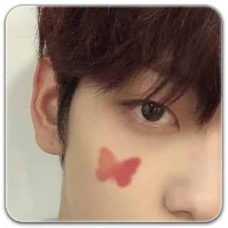 🦋 emoji Soobin_nikii.kor Telegram sticker 17 of 17