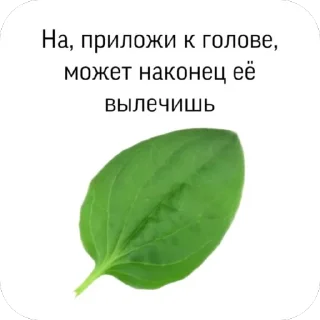 🫥 emoji сова лапшок by wwxess Telegram sticker 9 of 64