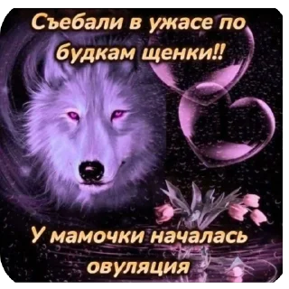 🫥 emoji сова лапшок by wwxess Telegram sticker 24 of 64