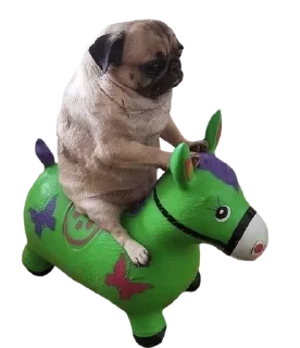 😐 emoji Больше стикеров 👉🏻 @stickertg4 Telegram sticker 3 of 70