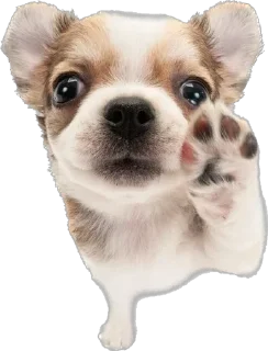 🖐 emoji Больше стикеров 👉🏻 @stickertg4 Telegram sticker 16 of 70