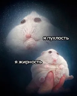 🌟 emoji Мем за три рубля Telegram sticker 18 of 76
