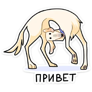 Sticker from Белый • @TgSticker