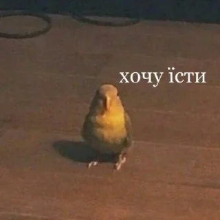 🍎 emoji Аґнеса сонечко Telegram sticker 4 of 98