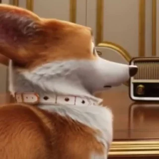 😓 emoji Rex Royal Corgi [ Sticker Pack ] Telegram sticker 16 of 19