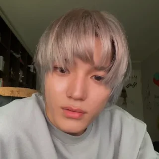 🌹 emoji taeyong ss by @stikersnct Telegram sticker 18 of 63