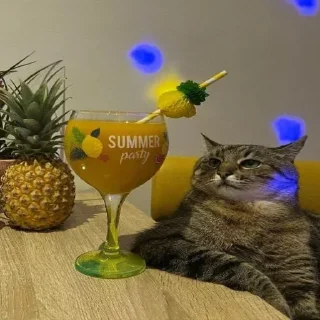 🍹 emoji Больше стикеров 👉🏻 @stickertg4 Telegram sticker 10 of 50