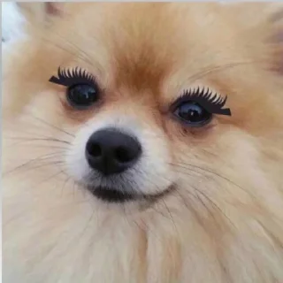 ☺️ emoji мур мяу Telegram sticker 23 of 120