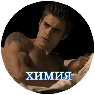 😏 emoji БЕЛОЧНИК Telegram sticker 17 of 52