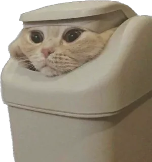 🪣 emoji Кошке и собеки Telegram sticker 20 of 42