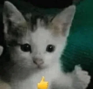 🌟 emoji котике🐈‍⬛ Telegram sticker 3 of 87