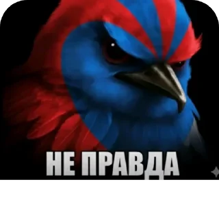 👍 emoji Скворечник Telegram sticker 7 of 25