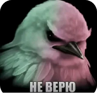 👍 emoji Скворечник Telegram sticker 19 of 25