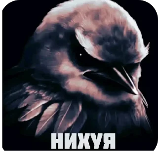 👍 emoji Скворечник Telegram sticker 14 of 25