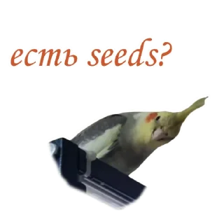😳 emoji Пепужьи стикеры 🐥 Telegram sticker 21 of 31