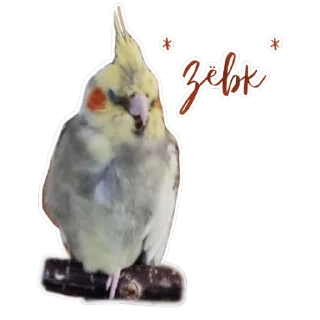 🥱 emoji Пепужьи стикеры 🐥 Telegram sticker 15 of 31