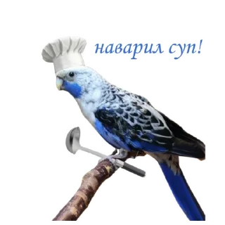 🍲 emoji Пепужьи стикеры 🐥 Telegram sticker 13 of 31