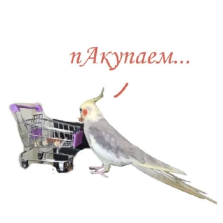 🛒 emoji Пепужьи стикеры 🐥 Telegram sticker 22 of 31
