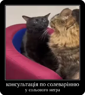 🧂 emoji Сольовик і неформали @solovyy Telegram sticker 4 of 50