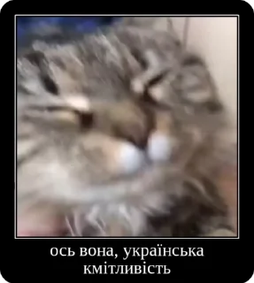 Sticker from Колапс модерну @solovyy